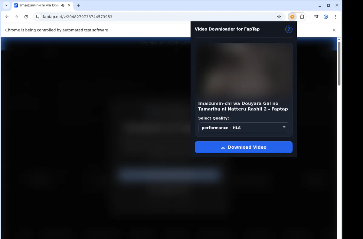 Faptap Video Downloader screenshot 3